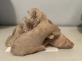 Coral Stone Sculpture 