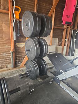 Bumper Plates