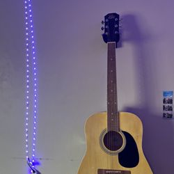 Rogue 6 String Guitar Brand New 