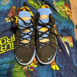 LeBron Basketball Shoes 