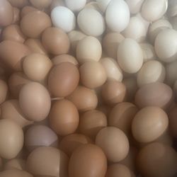 Farm Eggs/ Huevos De Granja 