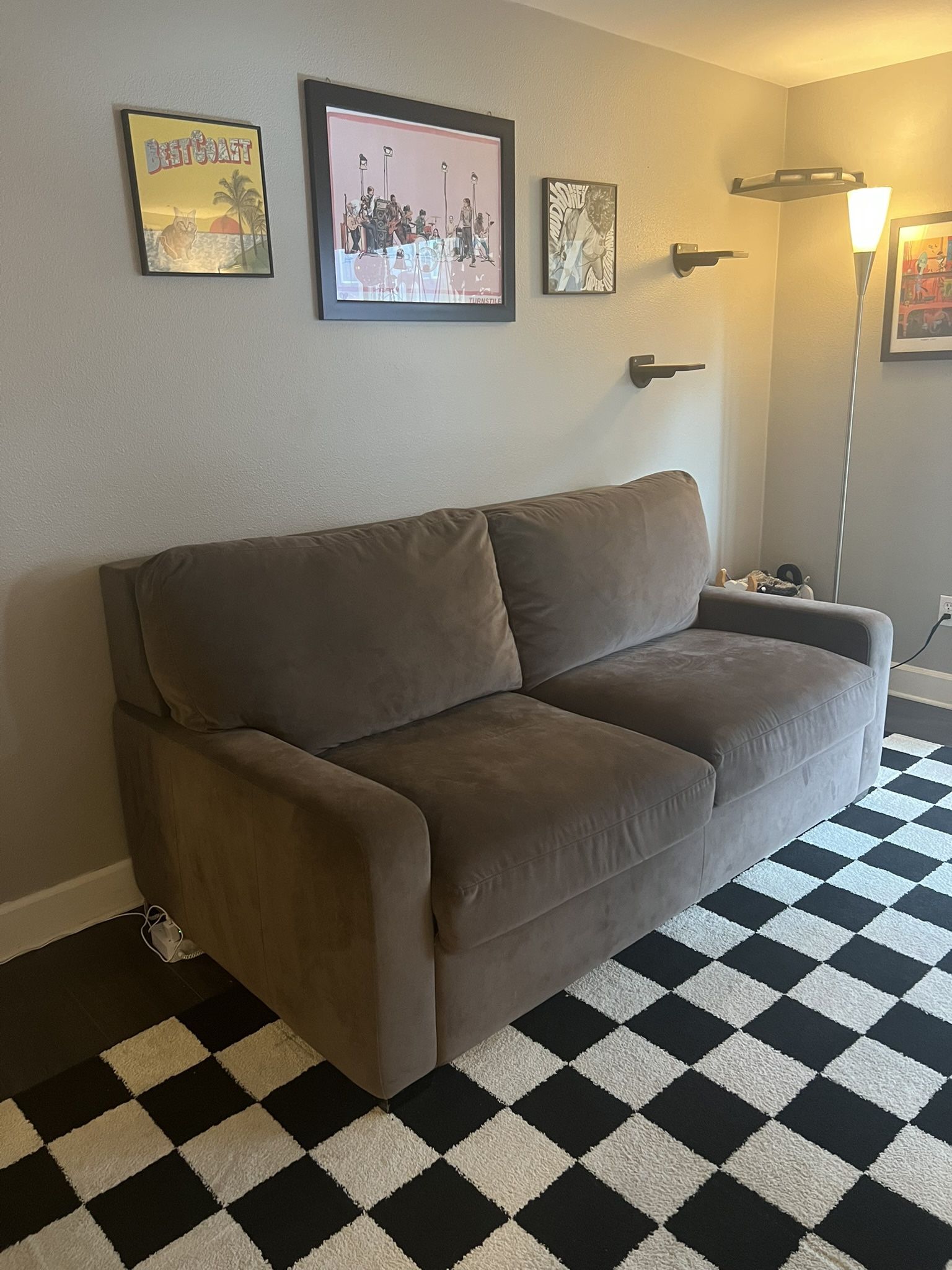 Pull Out Couch