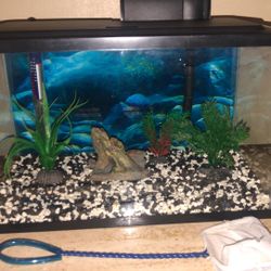10 Gallon Fish Tank 