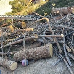 Fire Wood Logs (pine Trees) For Sale Cheap 