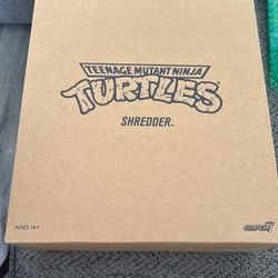 Teenage Mutant Ninja Turtle 