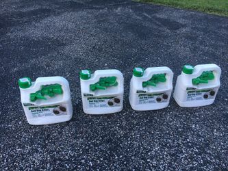 FOUR 1/2 GALLONS bed bug and flea killer