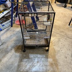 Bird Cage 