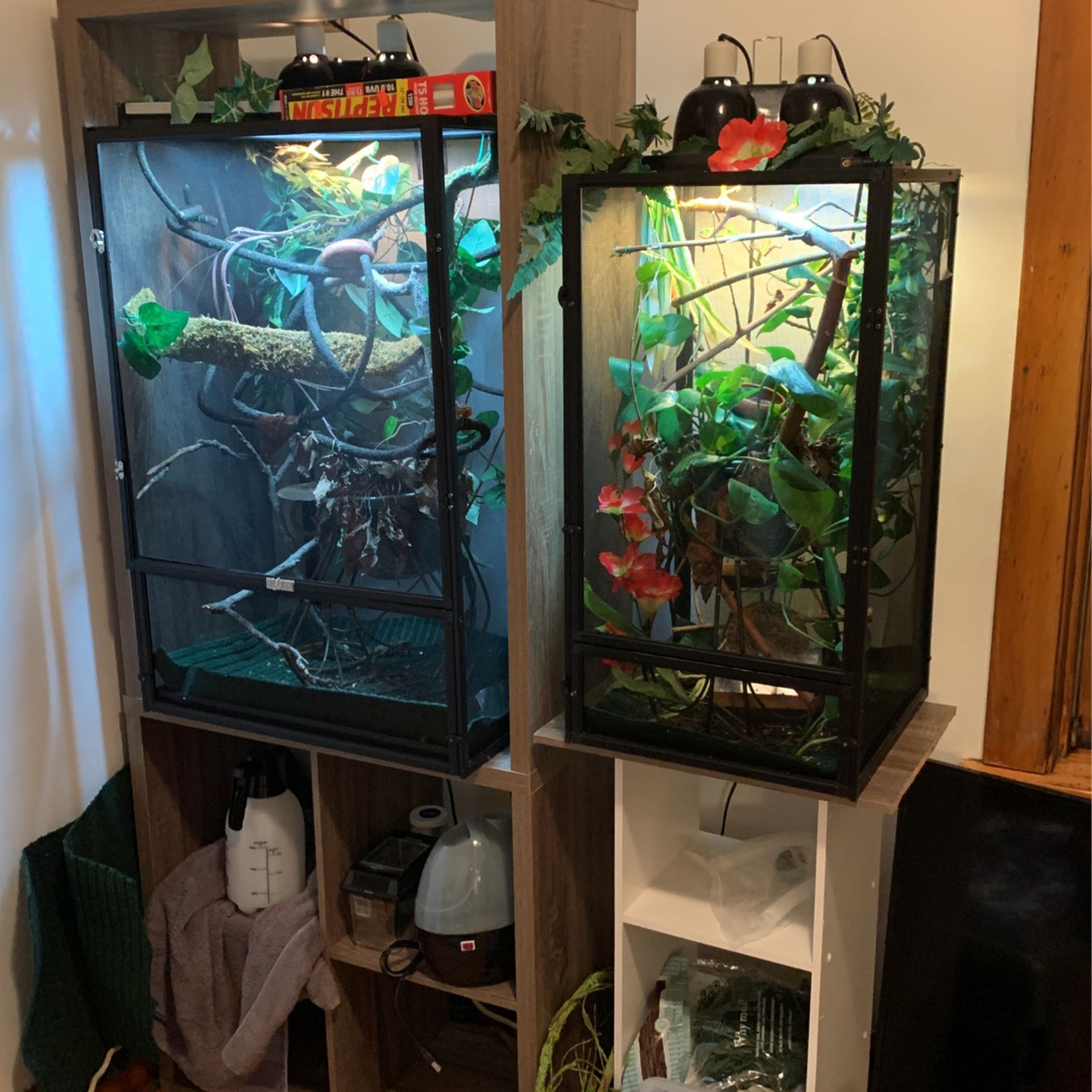 Chameleon Reptile Cages