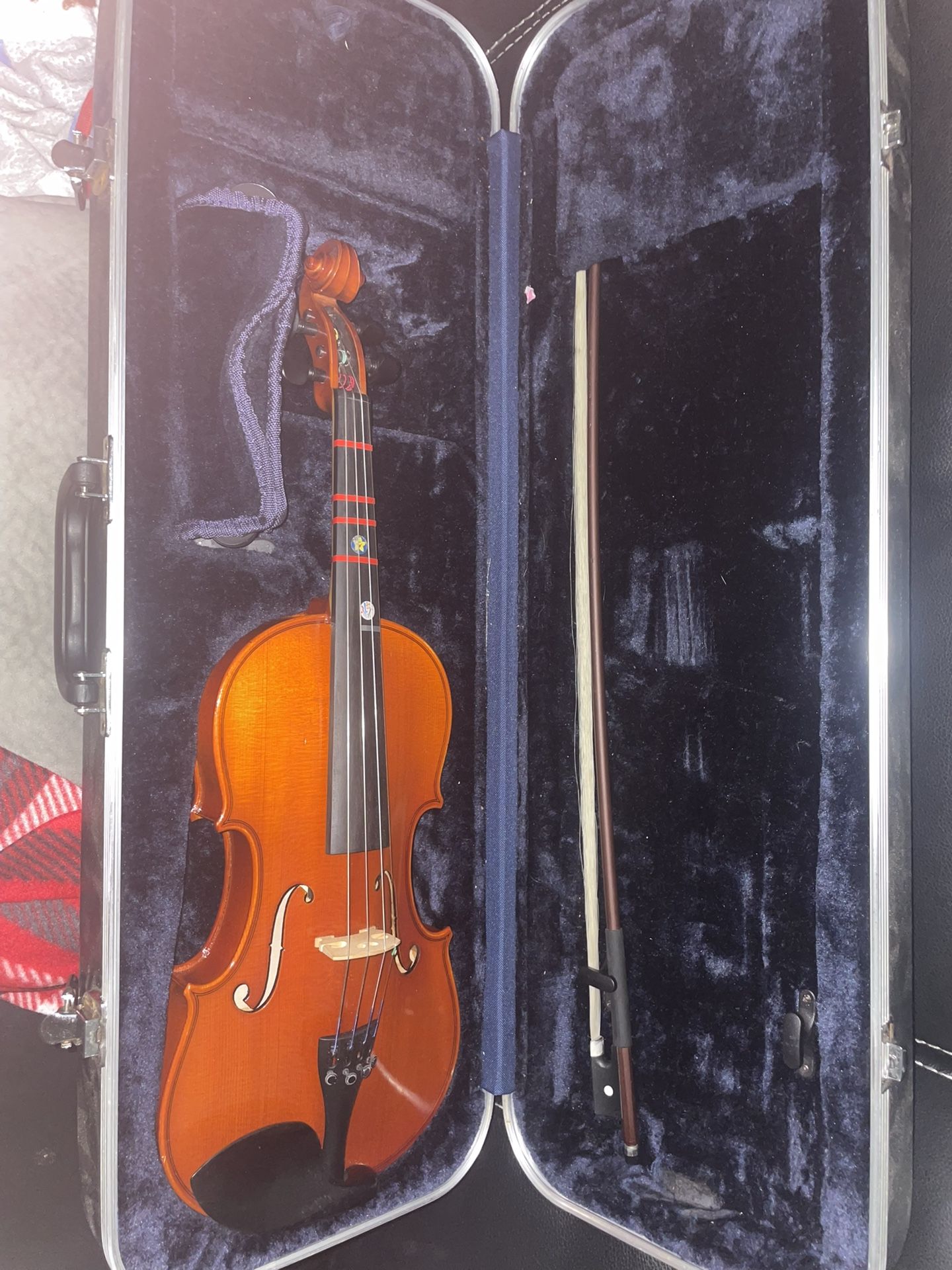 Violin