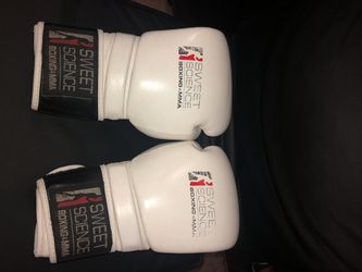 Sweet Science Boxing Gloves