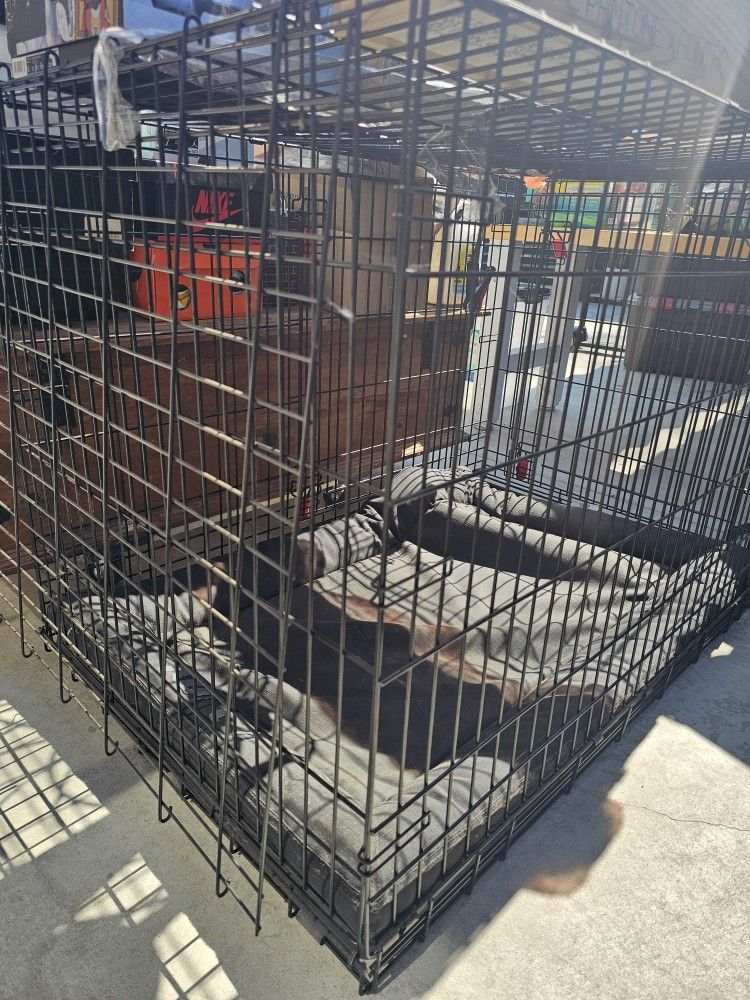 Large Dog Crate