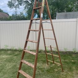 10 Foot Foldable Ladder