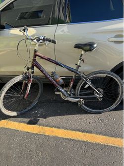 Trek Bike