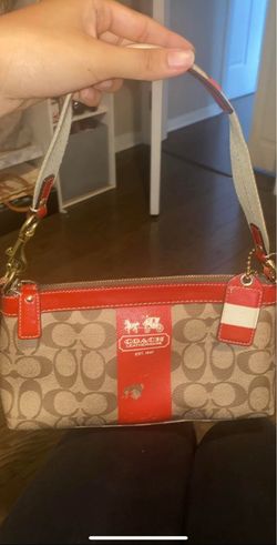 Purse/Bag