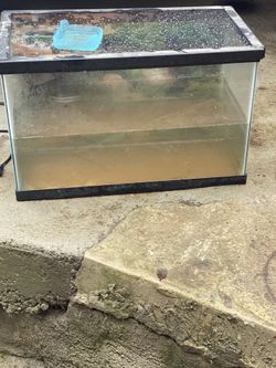 10 gallon tank