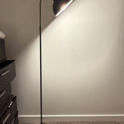 Industrial Black Floor Lamp + Light Bulbs