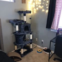 Cat Post