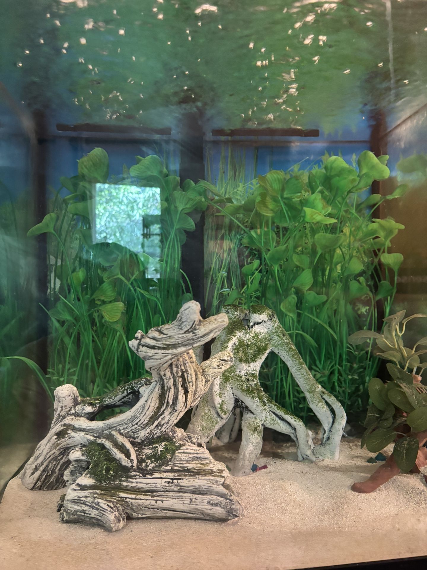 30 GAL Fish tank & Stand