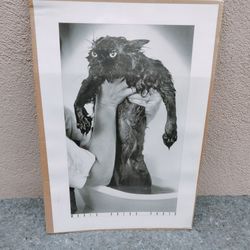 World Press Photo. Cat art