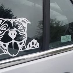 pittie car decal