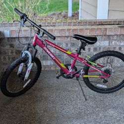 Girls 20" 7 speed dynacraft bike