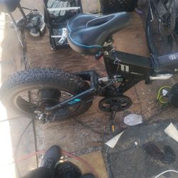 1000 Watt Mountain Ebike