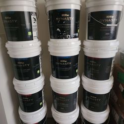 5 Gallon Behr Dynasty Paint And Primer