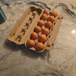 Fresh Chicken Eggs 