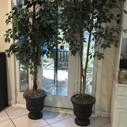 Pair of Artificial Trees with Pots