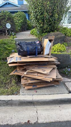 Moving boxes and bags, various sizes