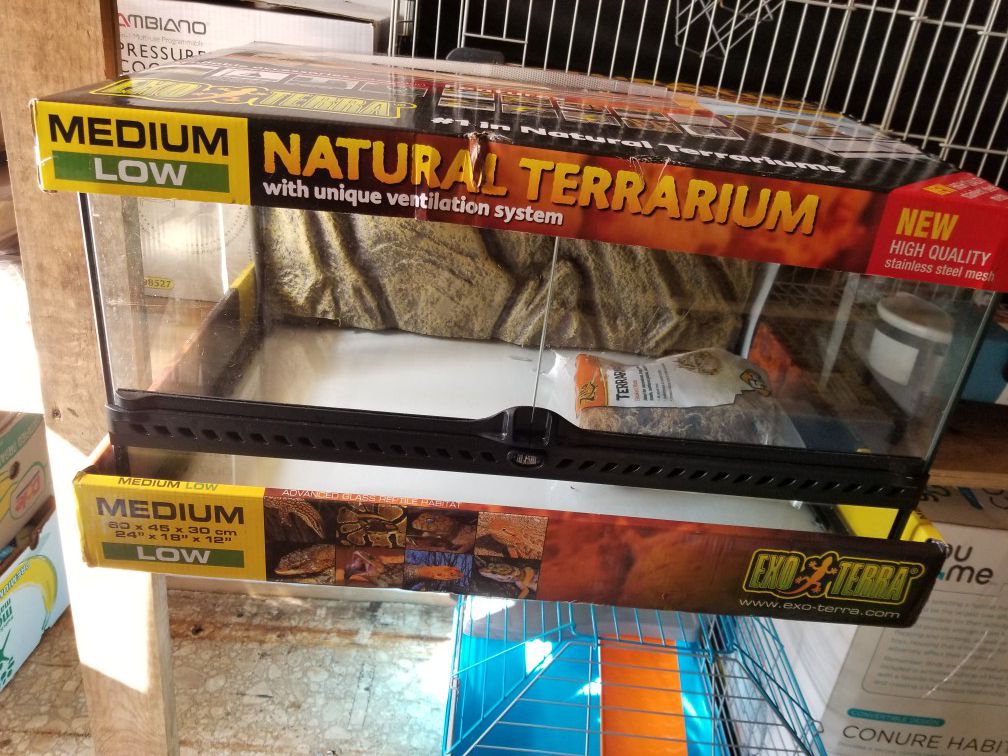 Natural Terrarium