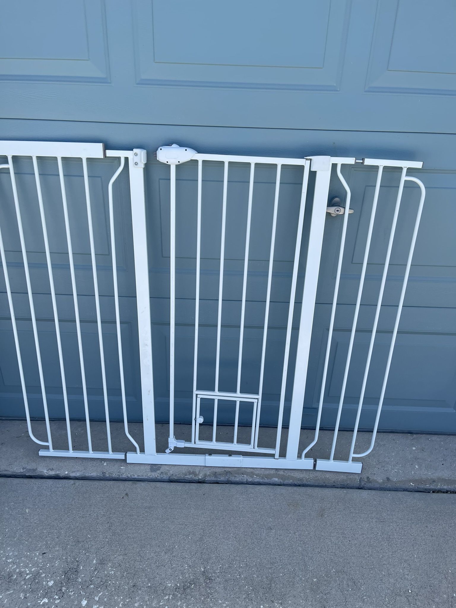 Dog Gate
