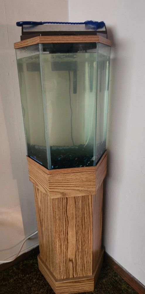 Fish Tank