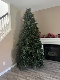 Free Tree 7ft Tall