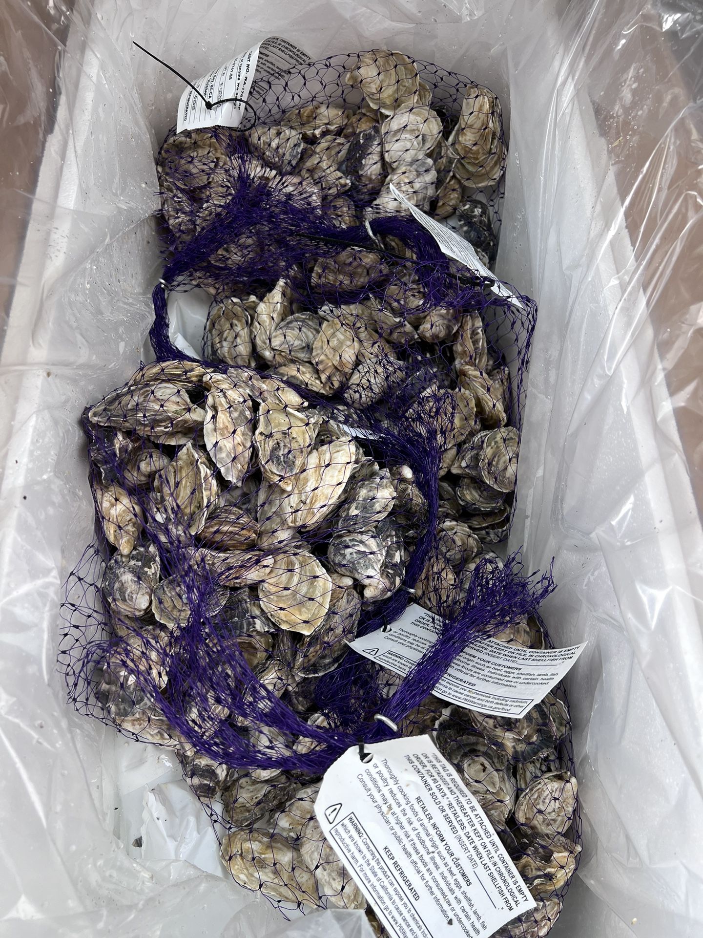 Pacific oysters “kusshi” variety from Neptune seafood company