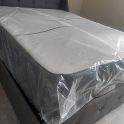 Plush Twin Size Mattress Sets $169.99 Free Delivery (Mattress And Boxspring Only)