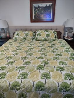 King Size Comforter And Shams 