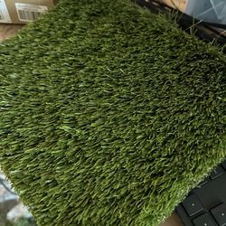 TONS OF TURF FOR SALE!!!