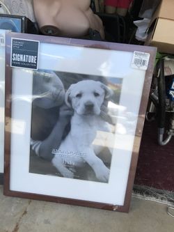 Frame pictures