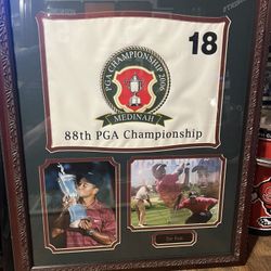 Tiger Woods 
