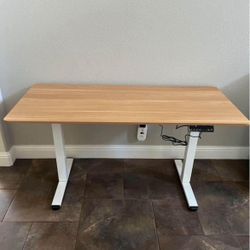 Electric Standing Desk 