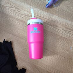 Pink And Teal Stanley