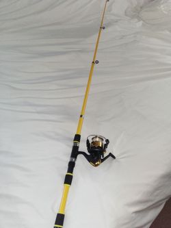 Fishing Rod and Reel Combo