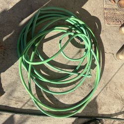50 Ft Hose 