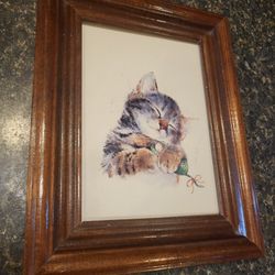 Cat drawing 5x7" (wood frame is sized 7.5 x 9.5 frame)