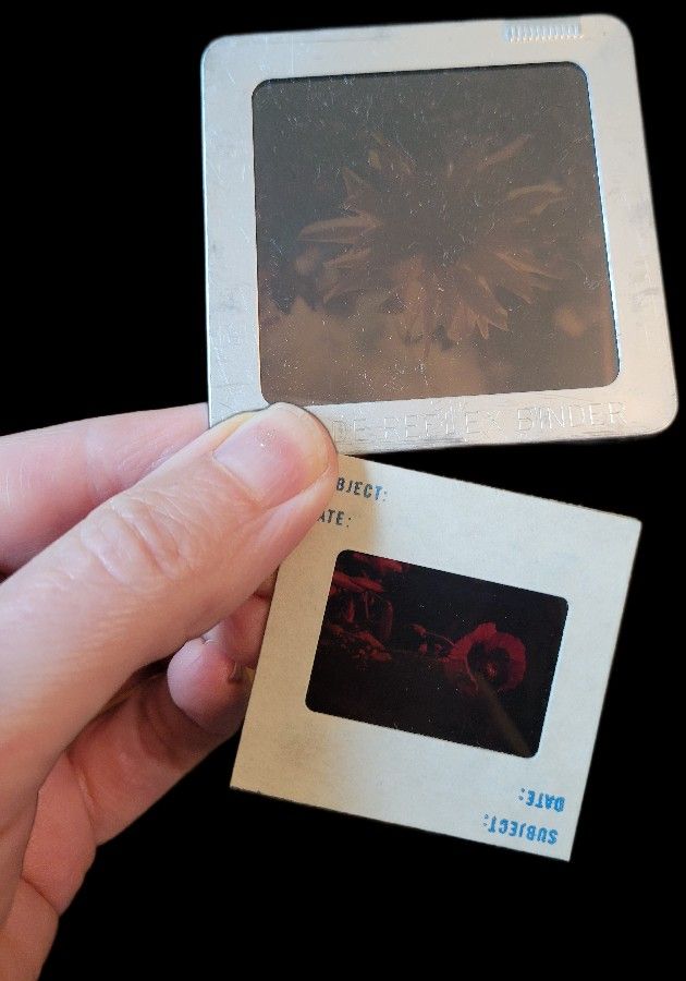 Lot Of Vintage Photo Slides