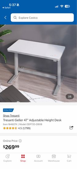 47” Costco Adjustable Standing Desk