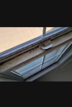 🏠 🏘️ 🧹 🧽 🧼 🪣 Housing Cleaning