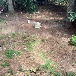 Dog House For Sale 