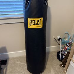 Everlast Heavy bag 95 Pounds